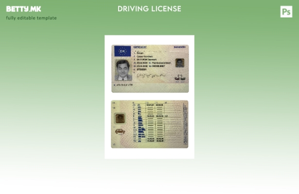 Модерен стил Данска возачка дозвола присутен шаблон